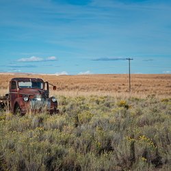 Derelict